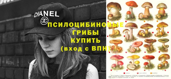 кокс Аркадак
