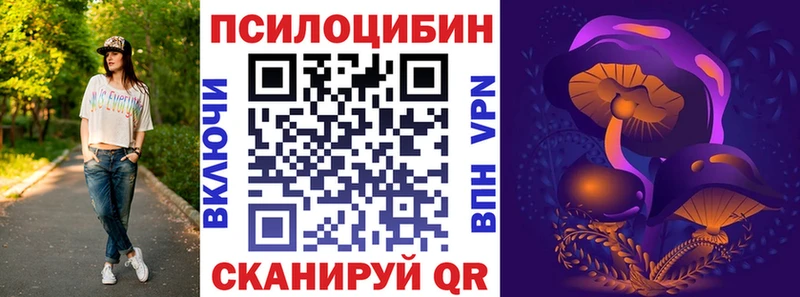 как найти закладки  Камышлов  даркнет как зайти  Псилоцибиновые грибы Magic Shrooms 