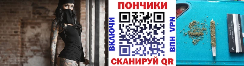 Бошки марихуана план  Камышлов 